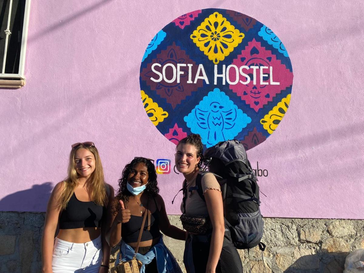 Sofia Hostel Cabo Cabo San Lucas Exterior foto